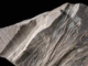 Parchet stratificat alb